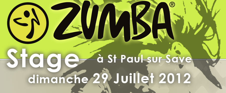 zumba saint paul sur save