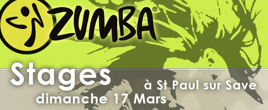 stage zumba saint paul sur save