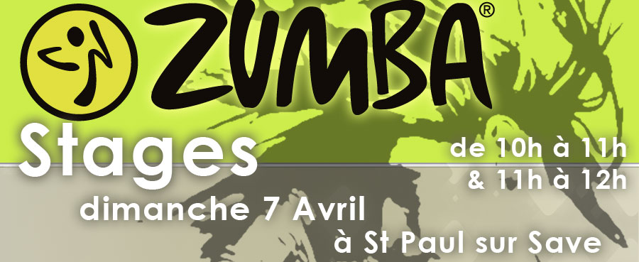 stage zumba saint paul sur save